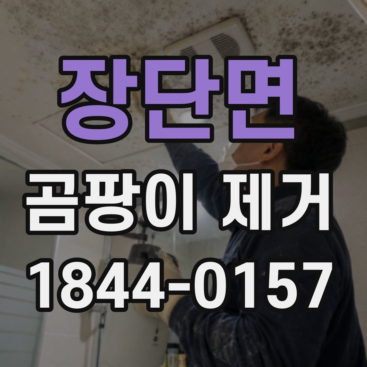 장단면 곰팡이 제거