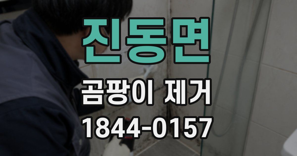 진동면 곰팡이 제거