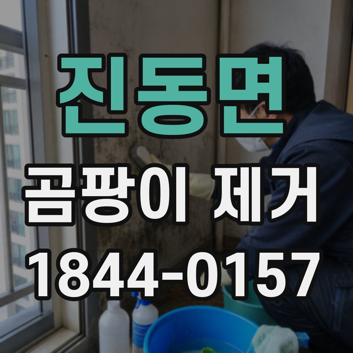 진동면 곰팡이 제거