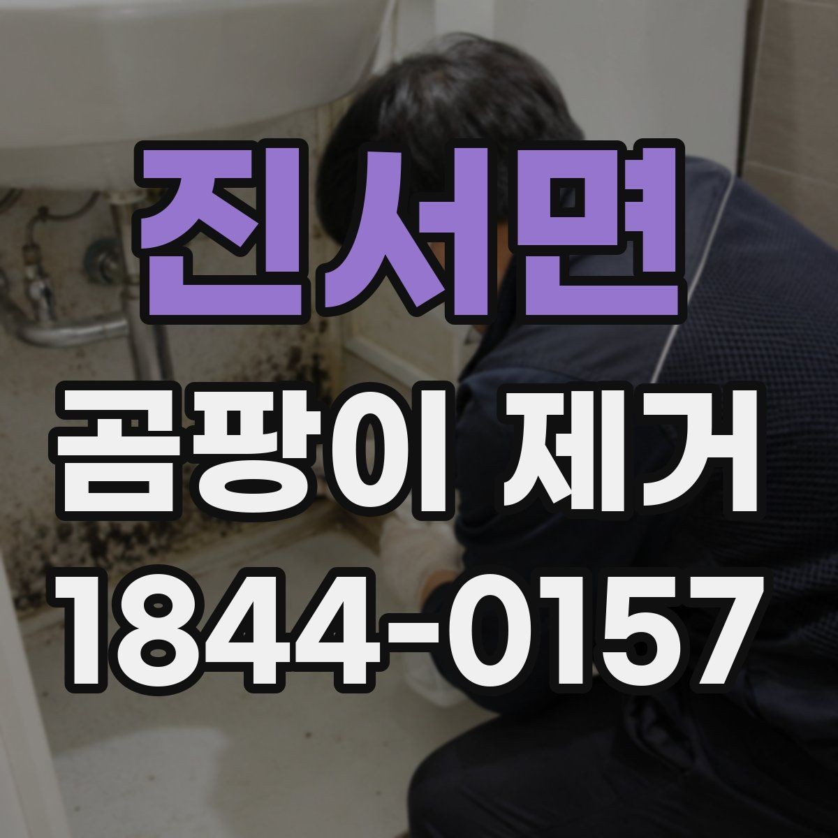 진서면 곰팡이 제거 전문 장비가 필요한 넓은 번짐 사례