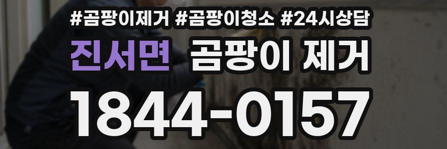 진서면 곰팡이 제거