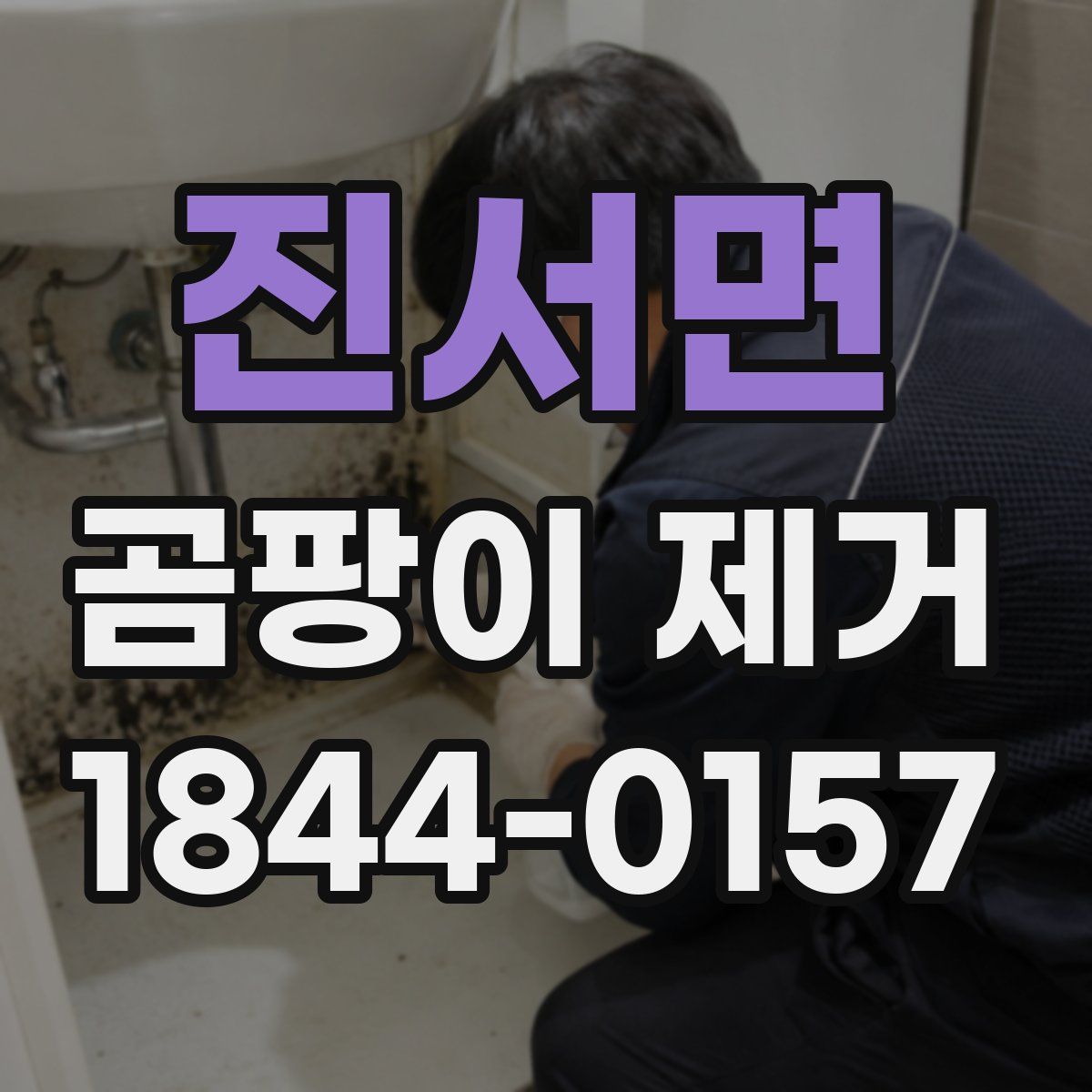 진서면 곰팡이 제거