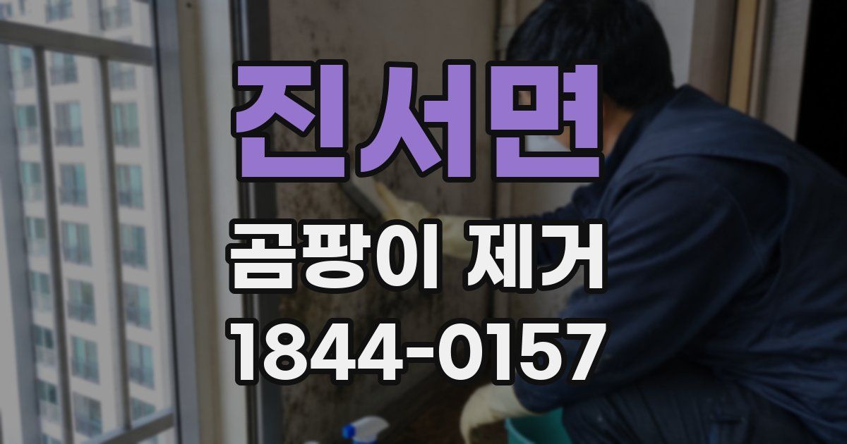 진서면 곰팡이 제거