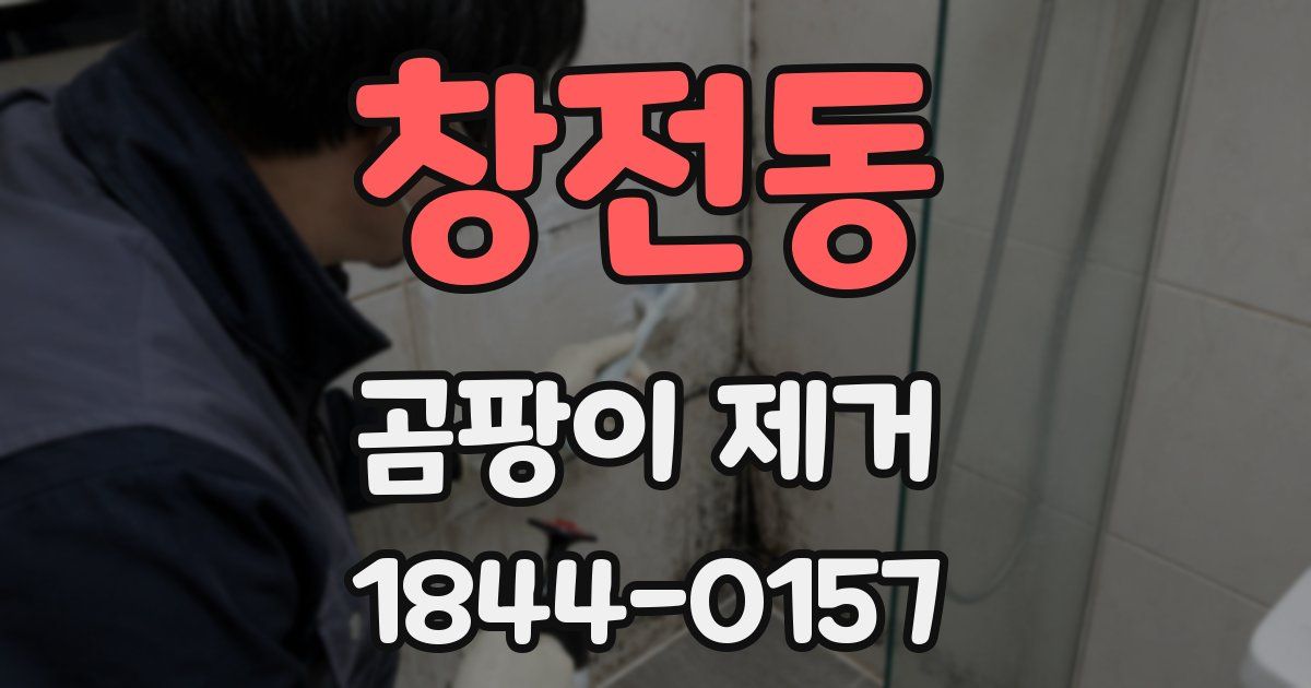 창전동 곰팡이 제거