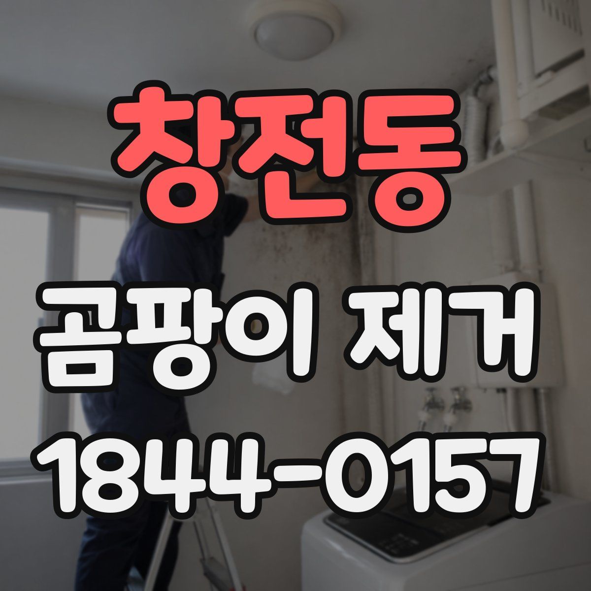 창전동 곰팡이 제거