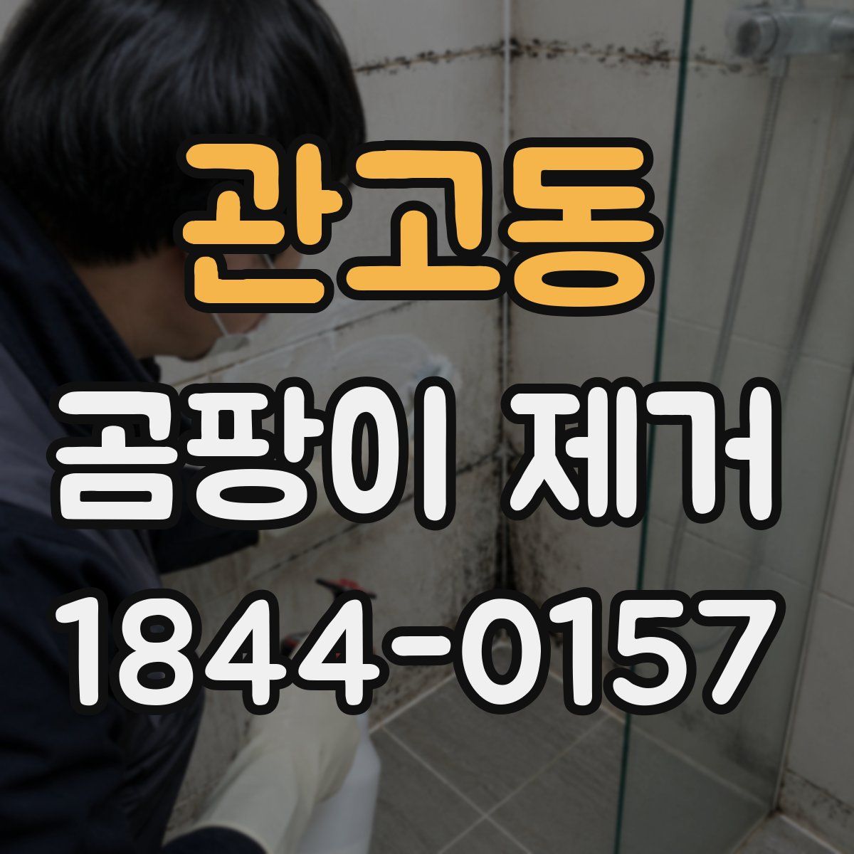 관고동 곰팡이 제거