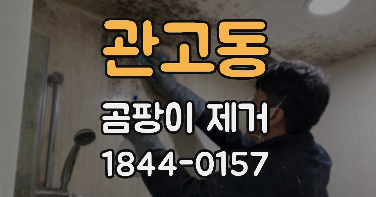 관고동 곰팡이 제거