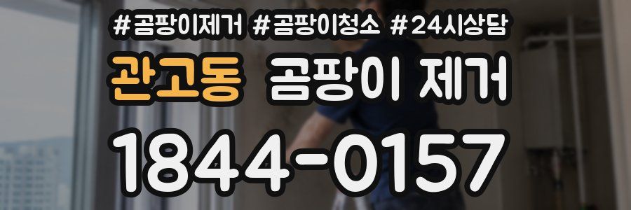 관고동 곰팡이 제거