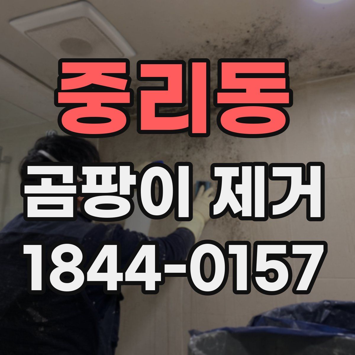 중리동 곰팡이 제거