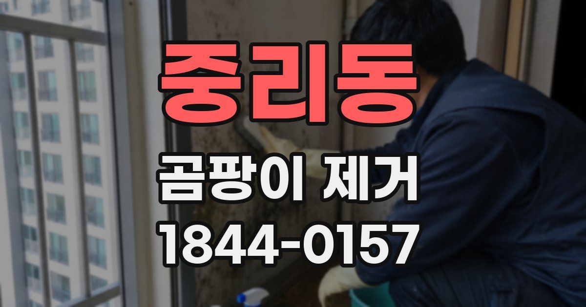 중리동 곰팡이 제거
