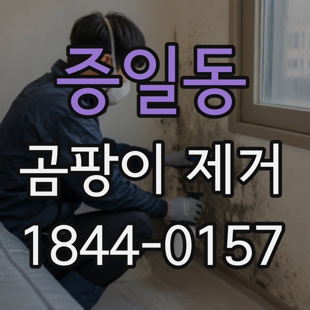 증일동 곰팡이 제거