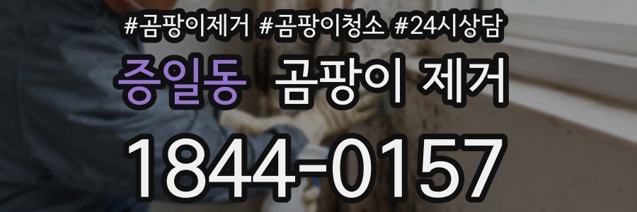 증일동 곰팡이 제거