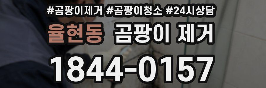 율현동 곰팡이 제거