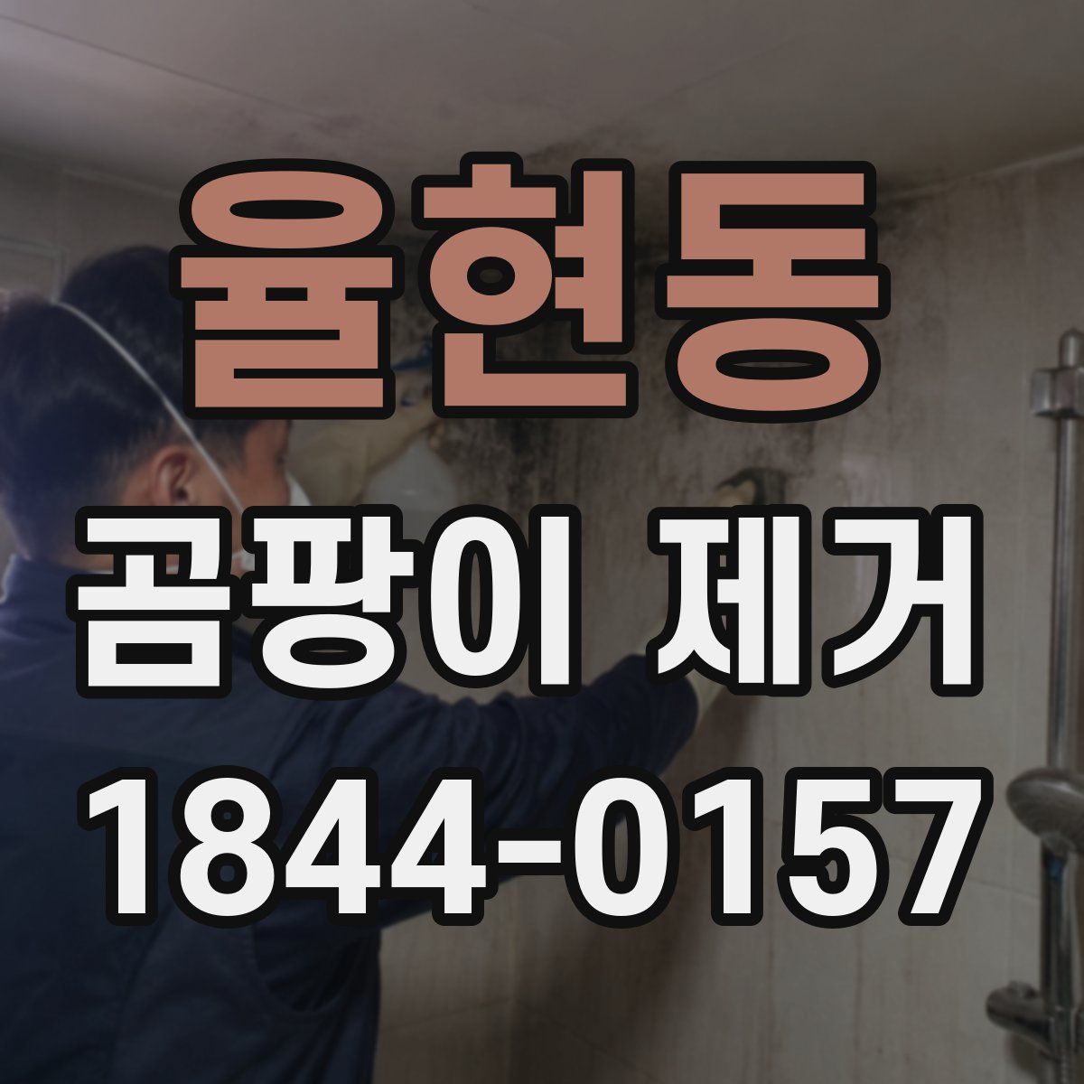 율현동 곰팡이 제거