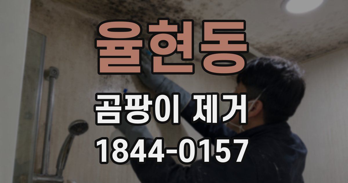 율현동 곰팡이 제거