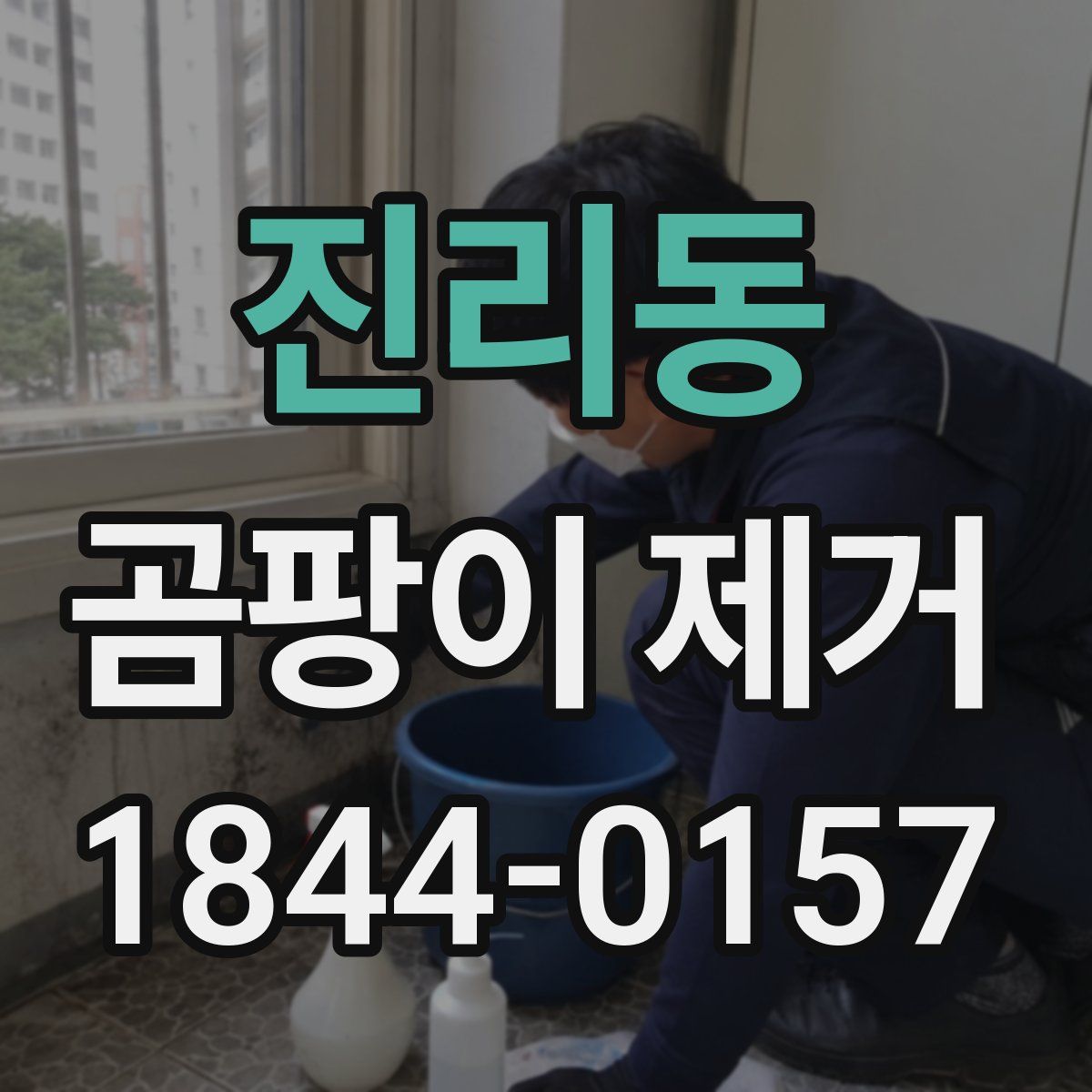 진리동 곰팡이 제거