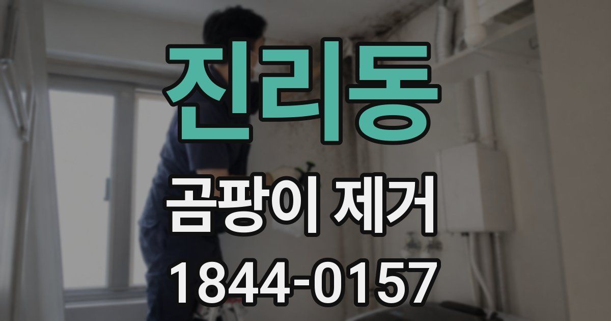 진리동 곰팡이 제거