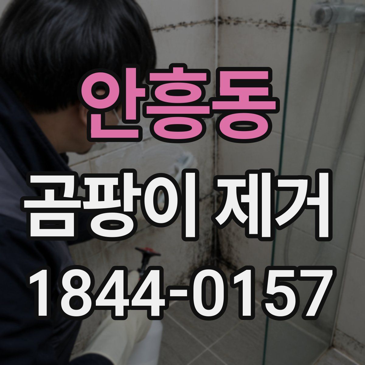 안흥동 곰팡이 제거