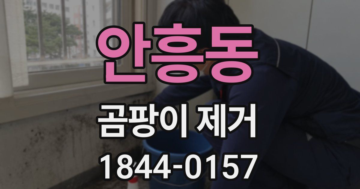 안흥동 곰팡이 제거