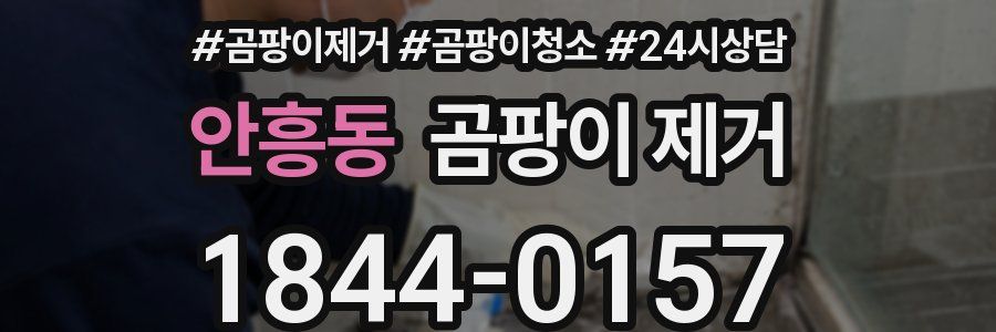 안흥동 곰팡이 제거