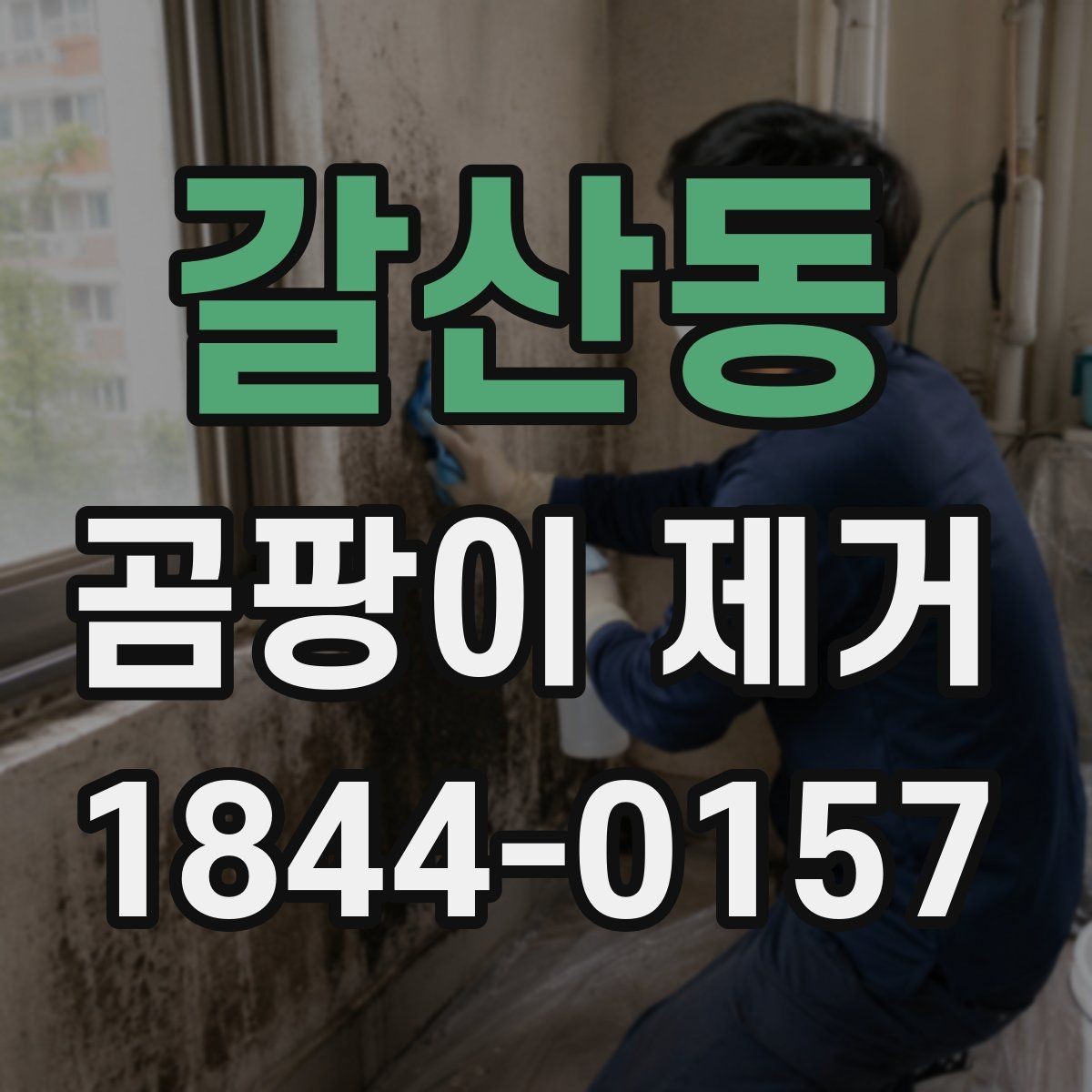 갈산동 곰팡이 제거 벽지와 실리콘 부위별 관리법