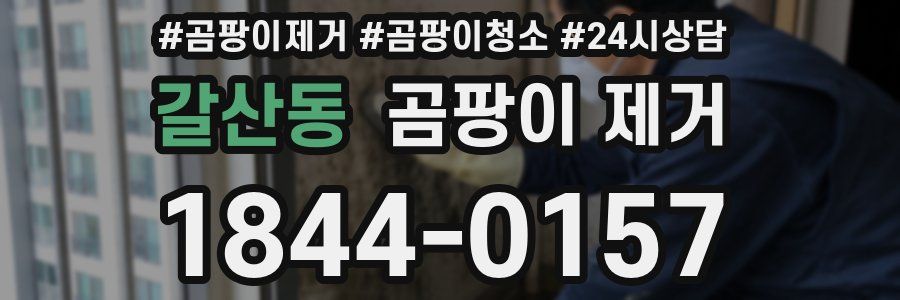 갈산동 곰팡이 제거