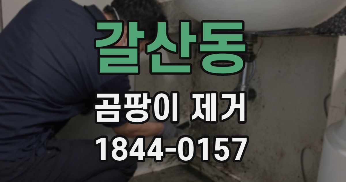 갈산동 곰팡이 제거