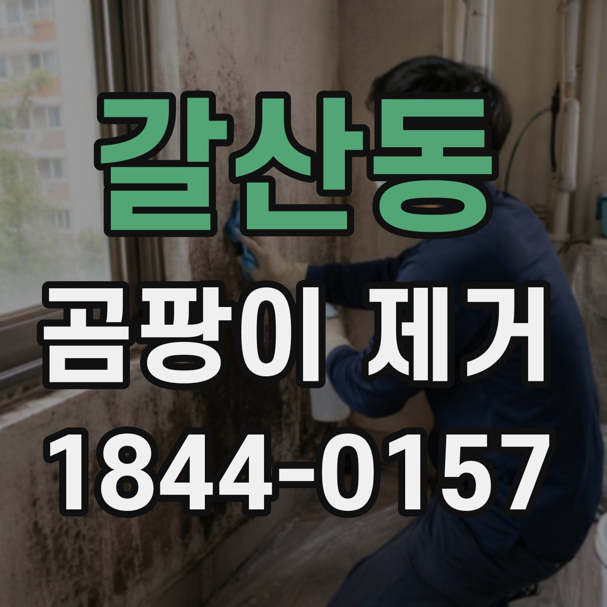 갈산동 곰팡이 제거