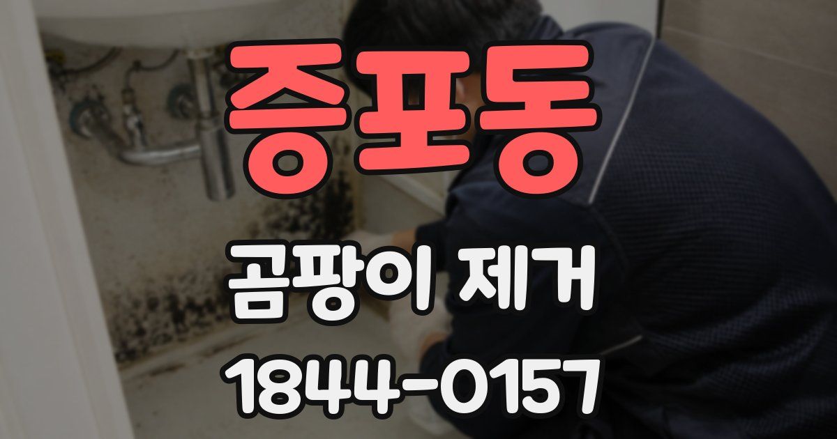 증포동 곰팡이 제거