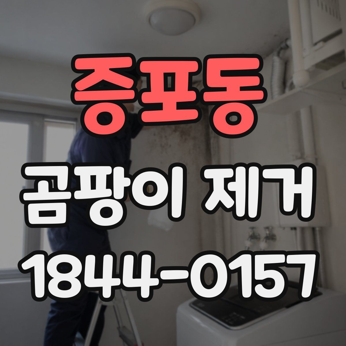 증포동 곰팡이 제거