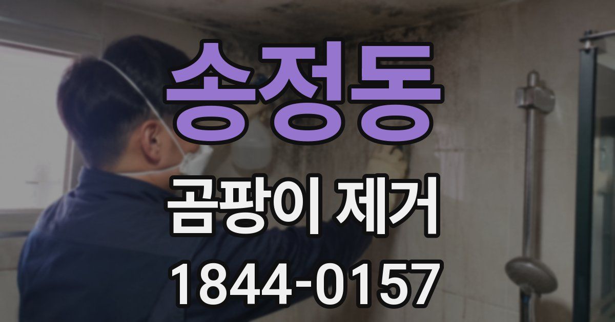 송정동 곰팡이 제거