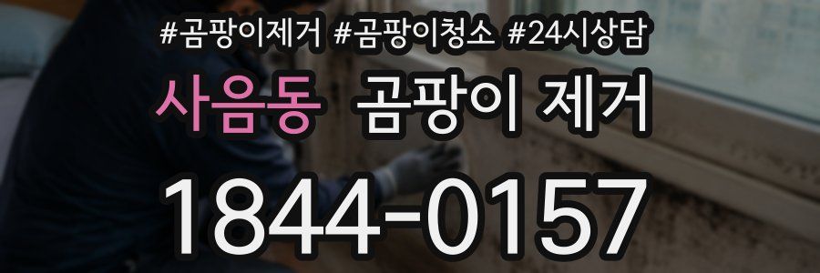 사음동 곰팡이 제거