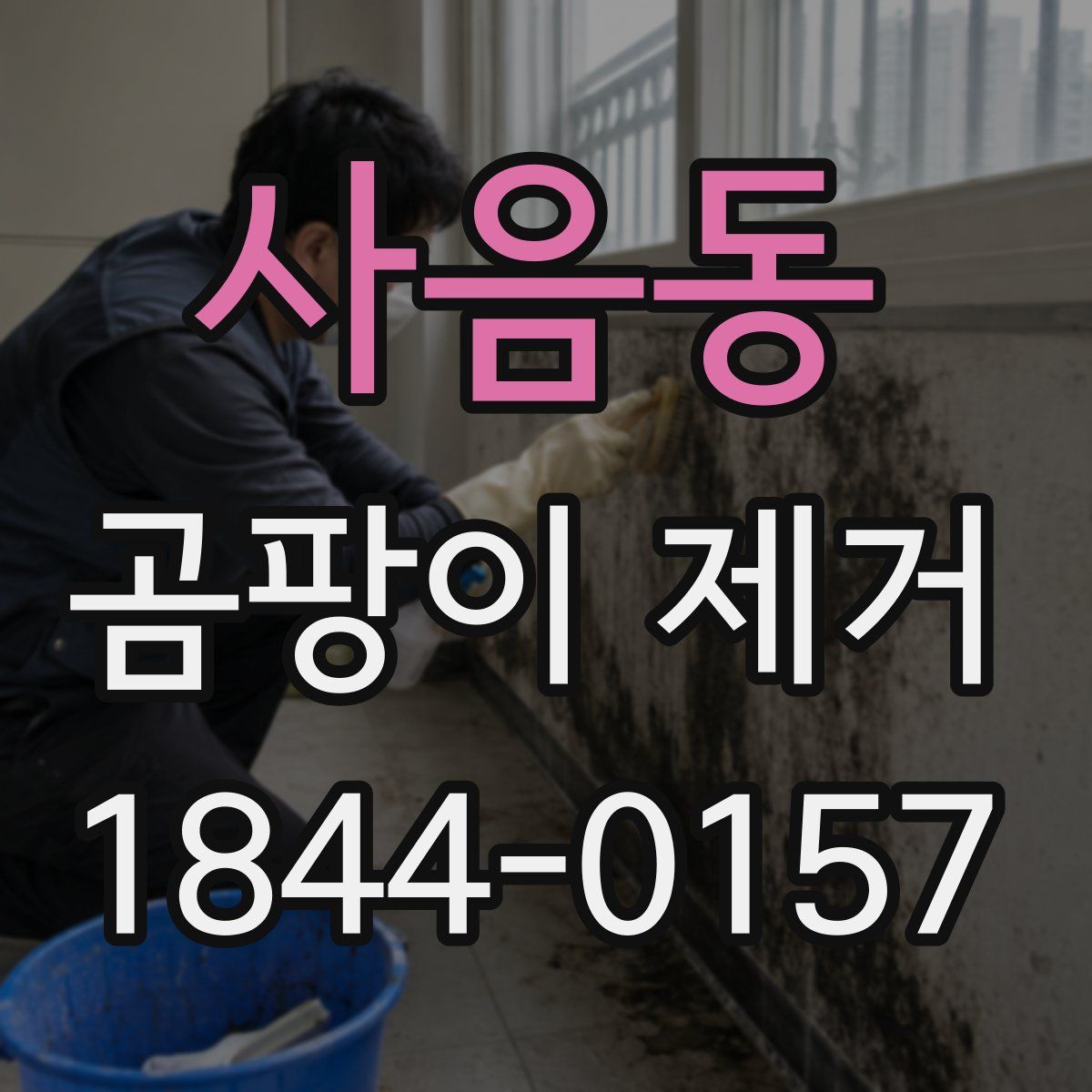 사음동 곰팡이 제거