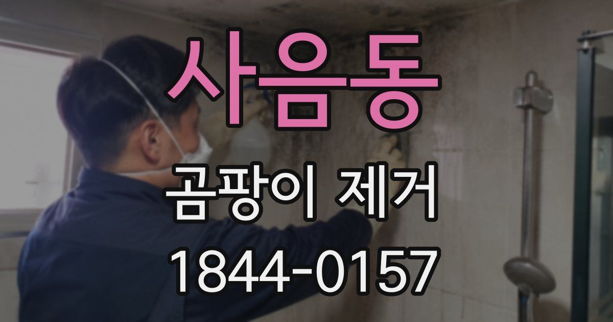 사음동 곰팡이 제거