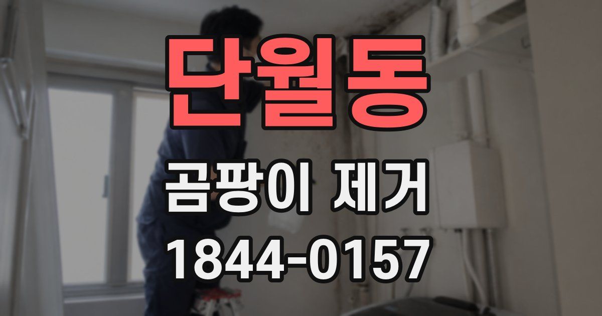 단월동 곰팡이 제거