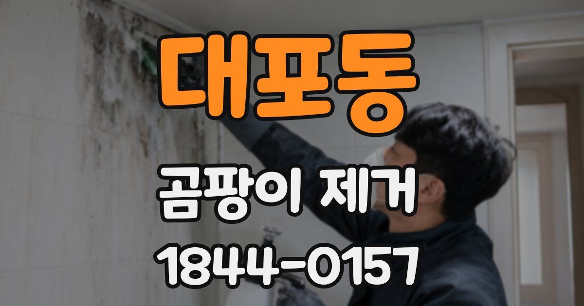 대포동 곰팡이 제거