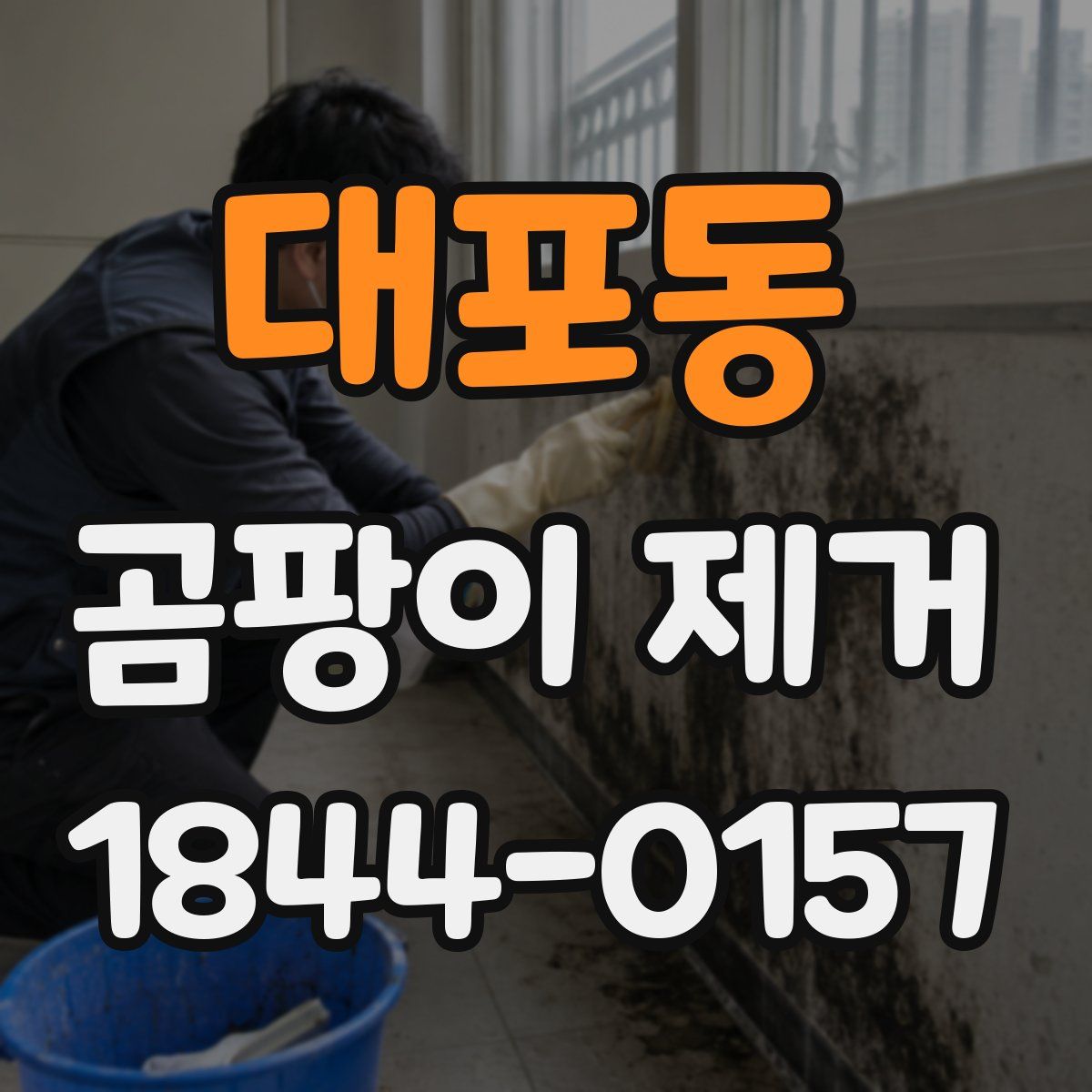 대포동 곰팡이 제거