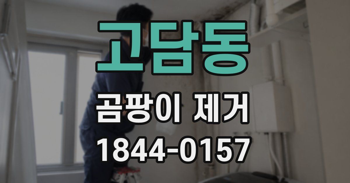 고담동 곰팡이 제거