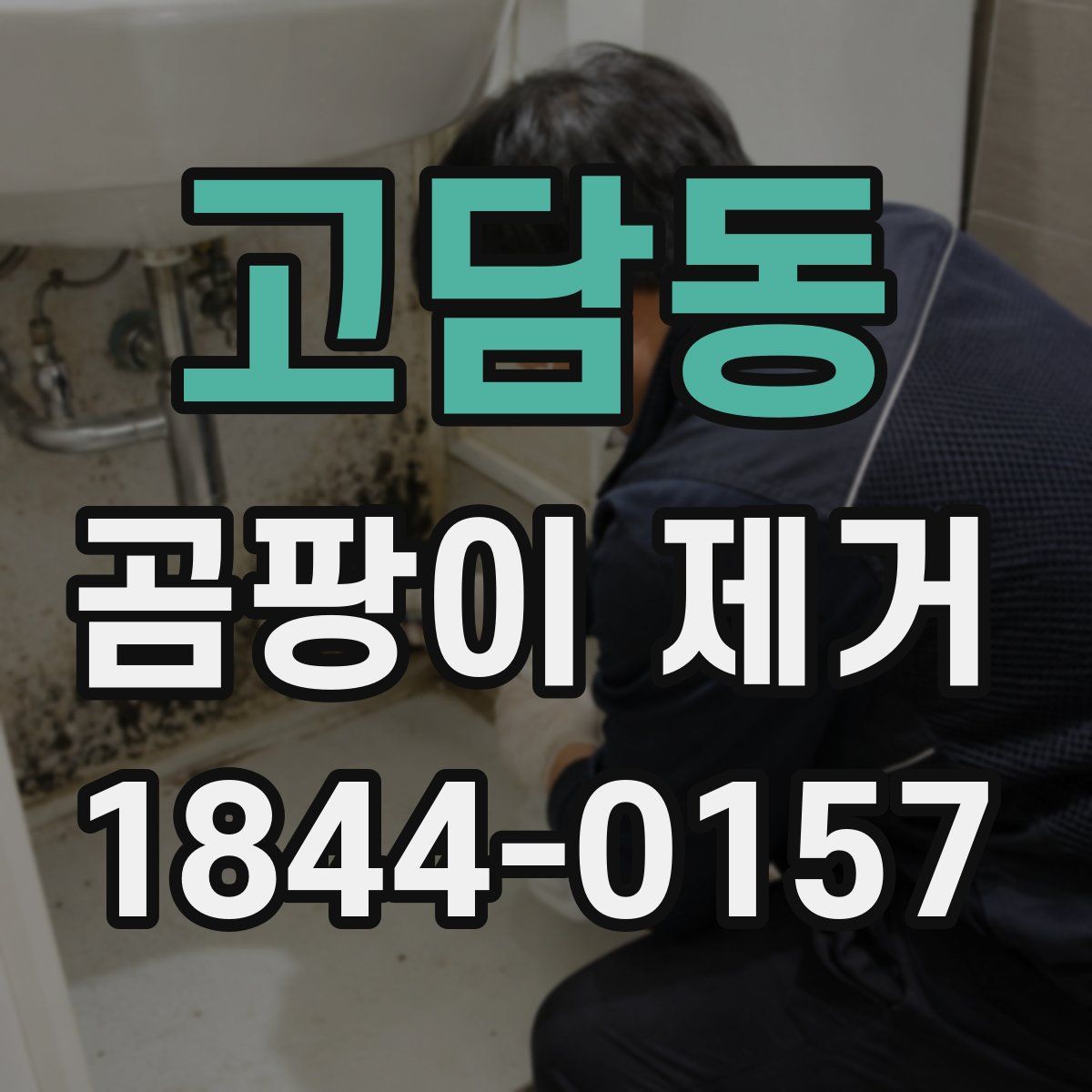 고담동 곰팡이 제거