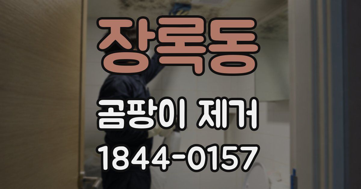 장록동 곰팡이 제거