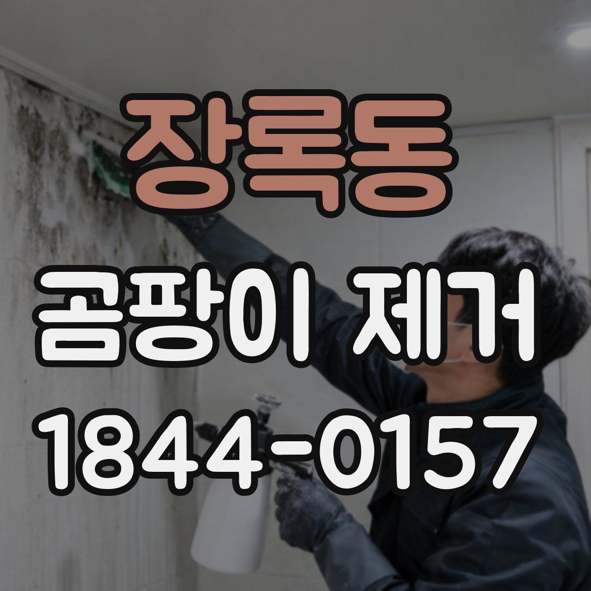 장록동 곰팡이 제거