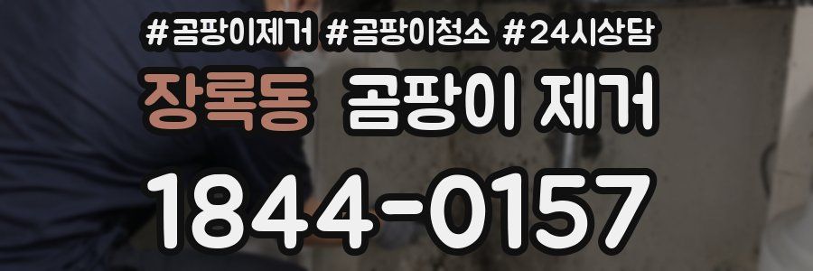 장록동 곰팡이 제거