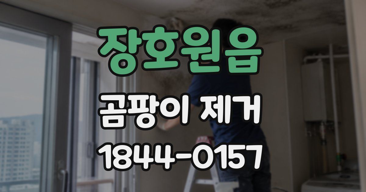 장호원읍 곰팡이 제거
