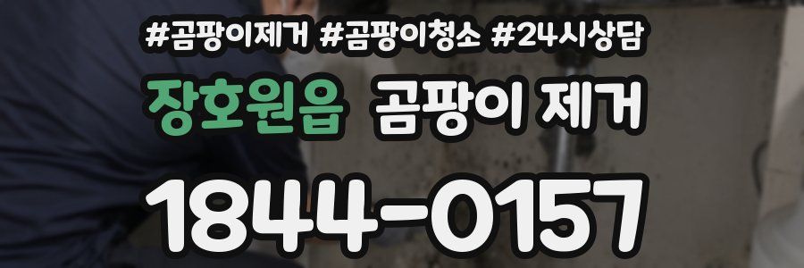 장호원읍 곰팡이 제거