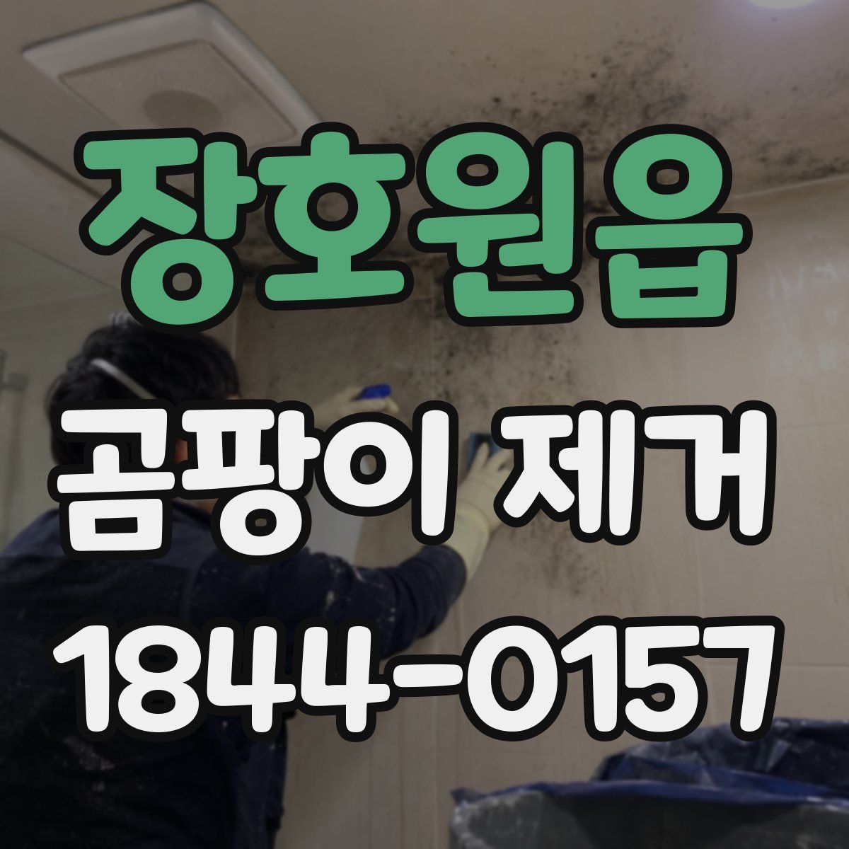 장호원읍 곰팡이 제거