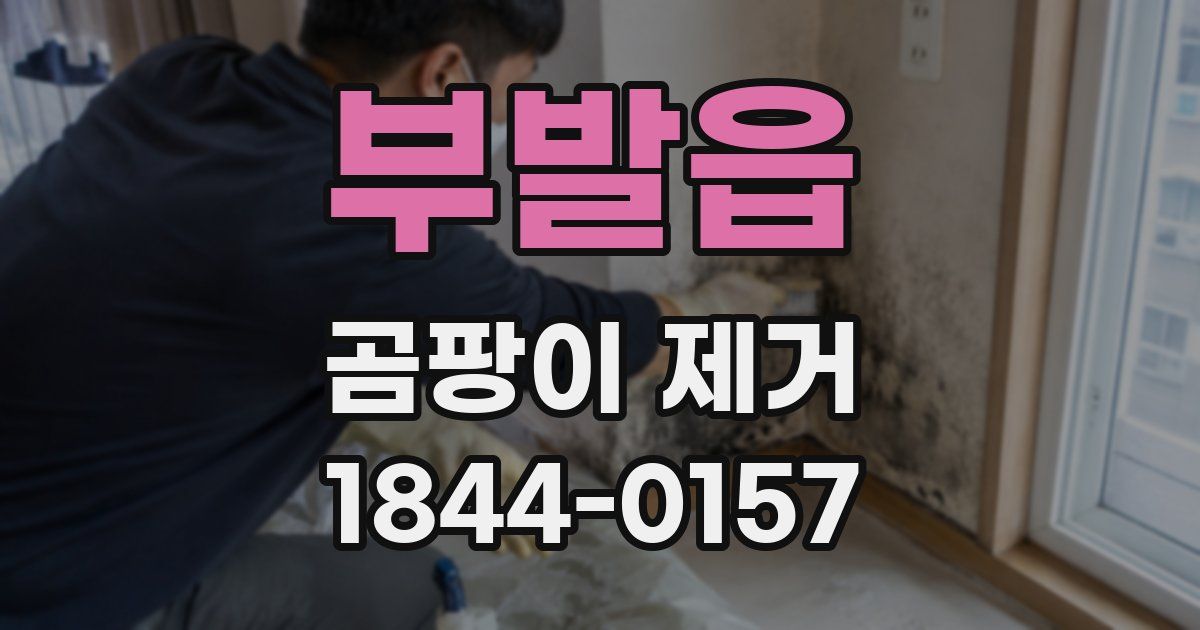부발읍 곰팡이 제거