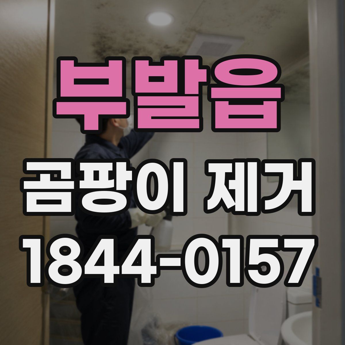 부발읍 곰팡이 제거