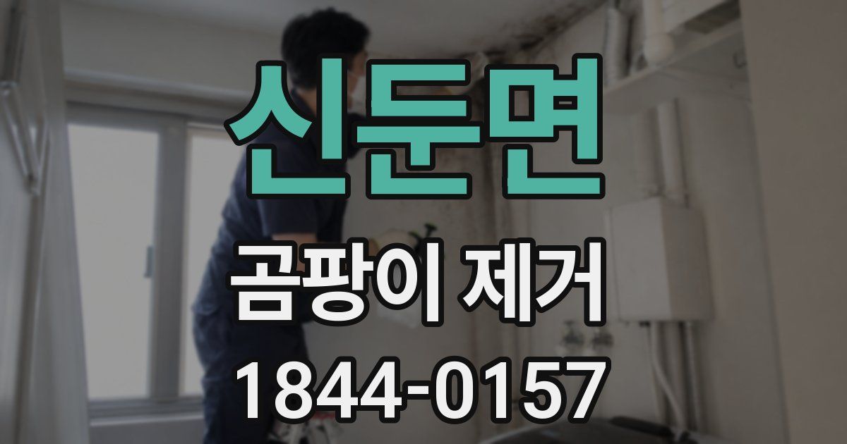 신둔면 곰팡이 제거