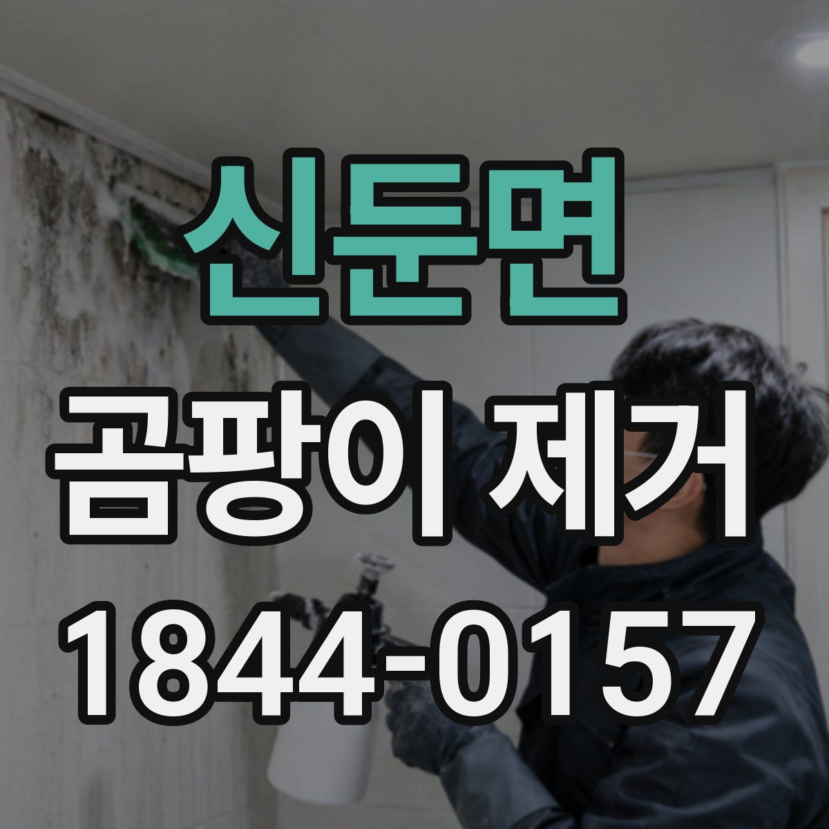 신둔면 곰팡이 제거
