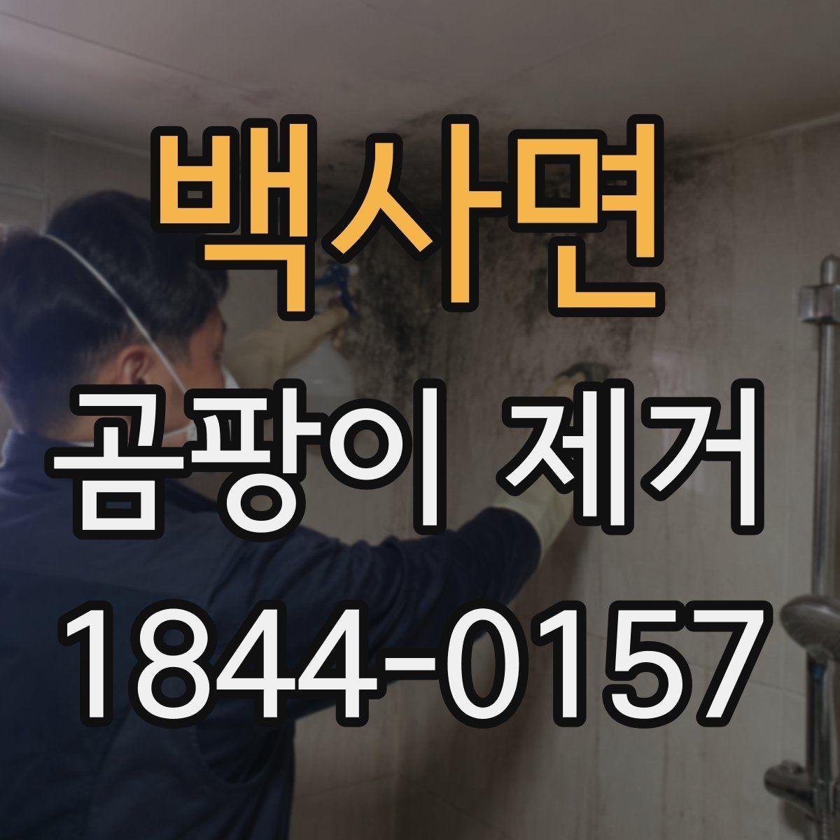 백사면 곰팡이 제거 세탁실에서 놓치기 쉬운 습기 요인